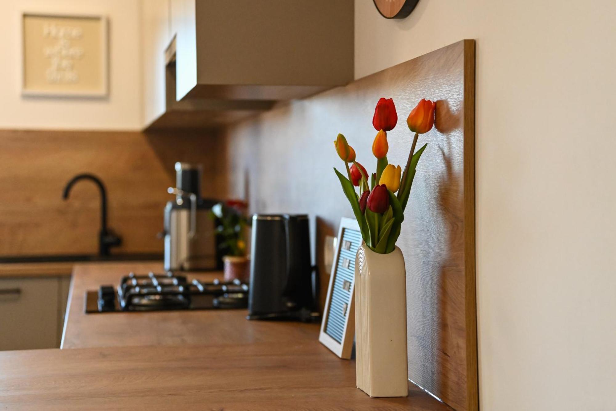 Veliki Apartman Petra 珀塞达耶 外观 照片